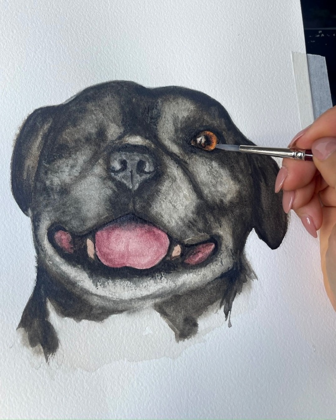 Watercolour pet portrait in progress